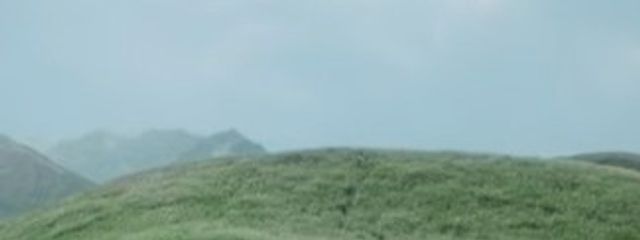 nikoさんの壁紙画像