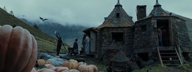 tsutaさんの壁紙画像