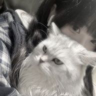 　阿　勢　猫さんのアイコン画像
