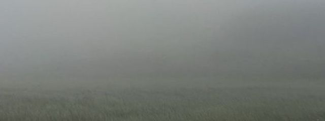 長谷川さんの壁紙画像