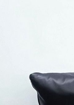 恋人は人間じゃありませんでした。