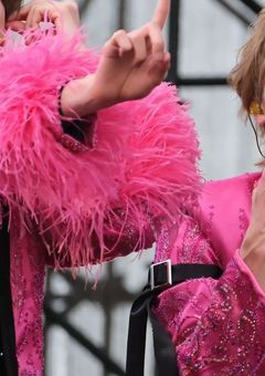 九尾の狐、拾いました。