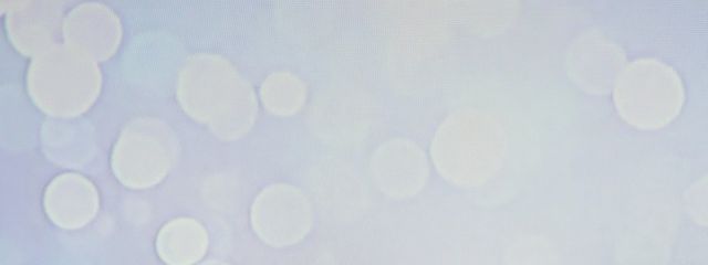 ねねさんの壁紙画像