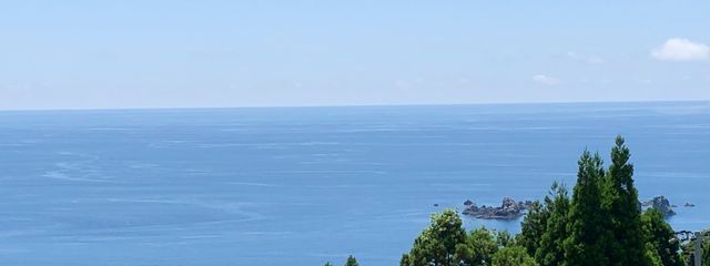 楽しむ人間さんの壁紙画像