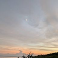 楽しむ人間さんのアイコン画像