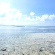 さくさんのアイコン画像