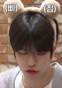 てんねん わんこの恋