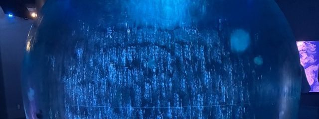 夜猫🌙🐈 さんの壁紙画像