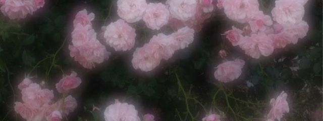 Mareさんの壁紙画像