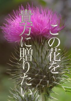 この花を、貴方に贈りたい。【一次創作】