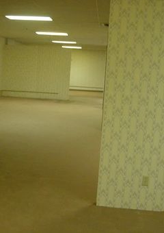 《Backrooms》から"脱出"しろ！【参加型】