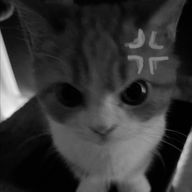 あ さ‪ 🫠 🩷さんのアイコン画像