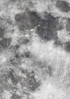 ナルトダンスで世界一になるまで。