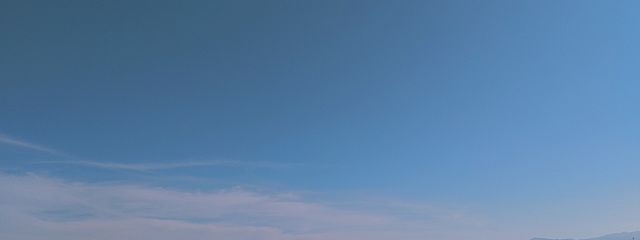 mikanさんの壁紙画像