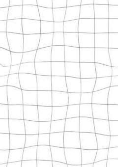 犬系男子vs猫系男子