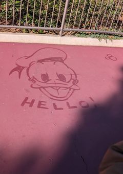 みけの日常