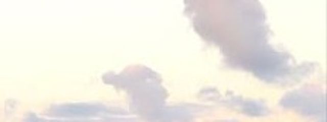 花咲いにるさんの壁紙画像