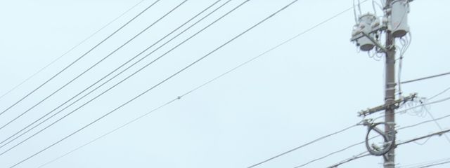 🍬さんの壁紙画像