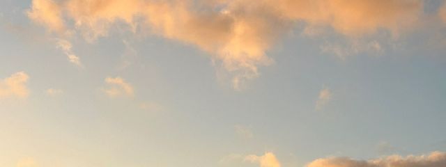 reiさんの壁紙画像