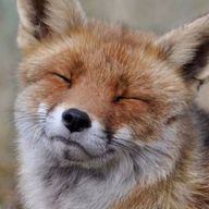 Rain🫧さんのアイコン画像