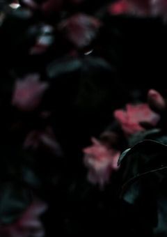 ##Small talk.
