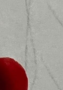 サカモトデイズの世界に仕事しに