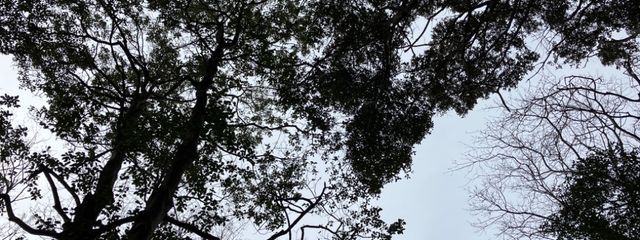 ３🚬🍫（初心者）不さんの壁紙画像