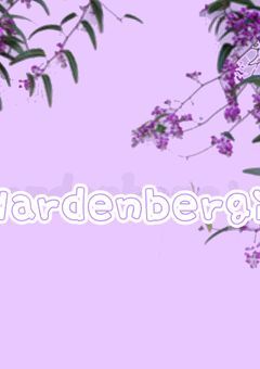 「Hardenbergia」グループ共有共同垢