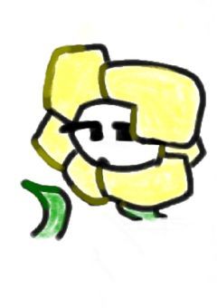 じこしょか