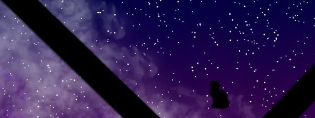 Spica .*·̩͙  @低浮上 。 さんの壁紙画像