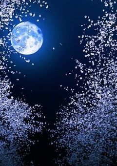 ギンギン野郎には、可愛がっている妹がいるそうで…