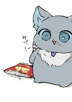 元ヤンの金髪女子は、NRCの奴らに振り回される