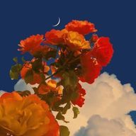 はちさん🐝🌸さんのアイコン画像