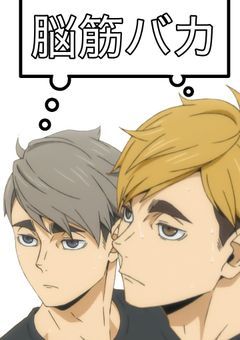 宮兄弟の幼馴染、脳筋ナルシだった件。