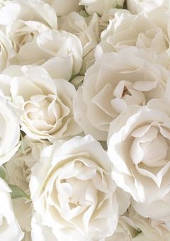 2j3j短編集   @私と彼との日常