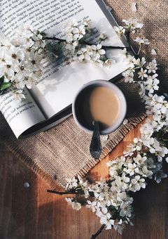 @𝑺𝒓𝒑:一目惚れした令嬢と裏任務一緒になりました