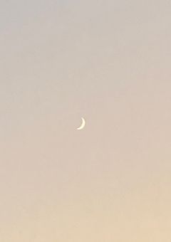 幼なじみ急に構って来るようになったんですが。