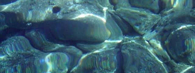 未読さんの壁紙画像