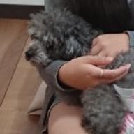 ボヨヨンさんのアイコン画像