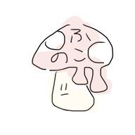 みどりさんのアイコン画像