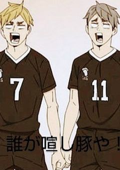 誰が喧し豚や！