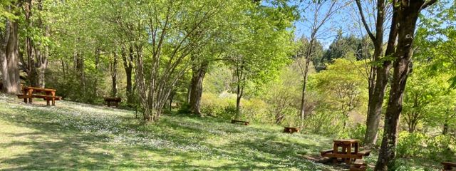 ゆり(*´꒳`*)さんの壁紙画像