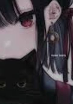黒　猫　。　🔞