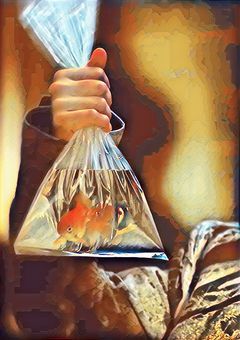 🐶My world turned upside down🐰