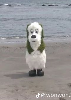 新・イラスト部屋