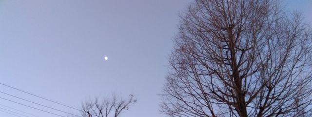 月うさぎさんの壁紙画像