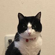 水葉さんのアイコン画像