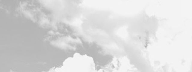 #  向  日  葵 さんの壁紙画像