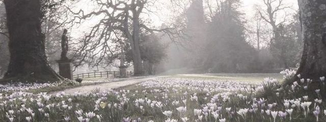 Bijou (보석)さんの壁紙画像