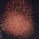 ナツ&ハッピー&ルーシィ